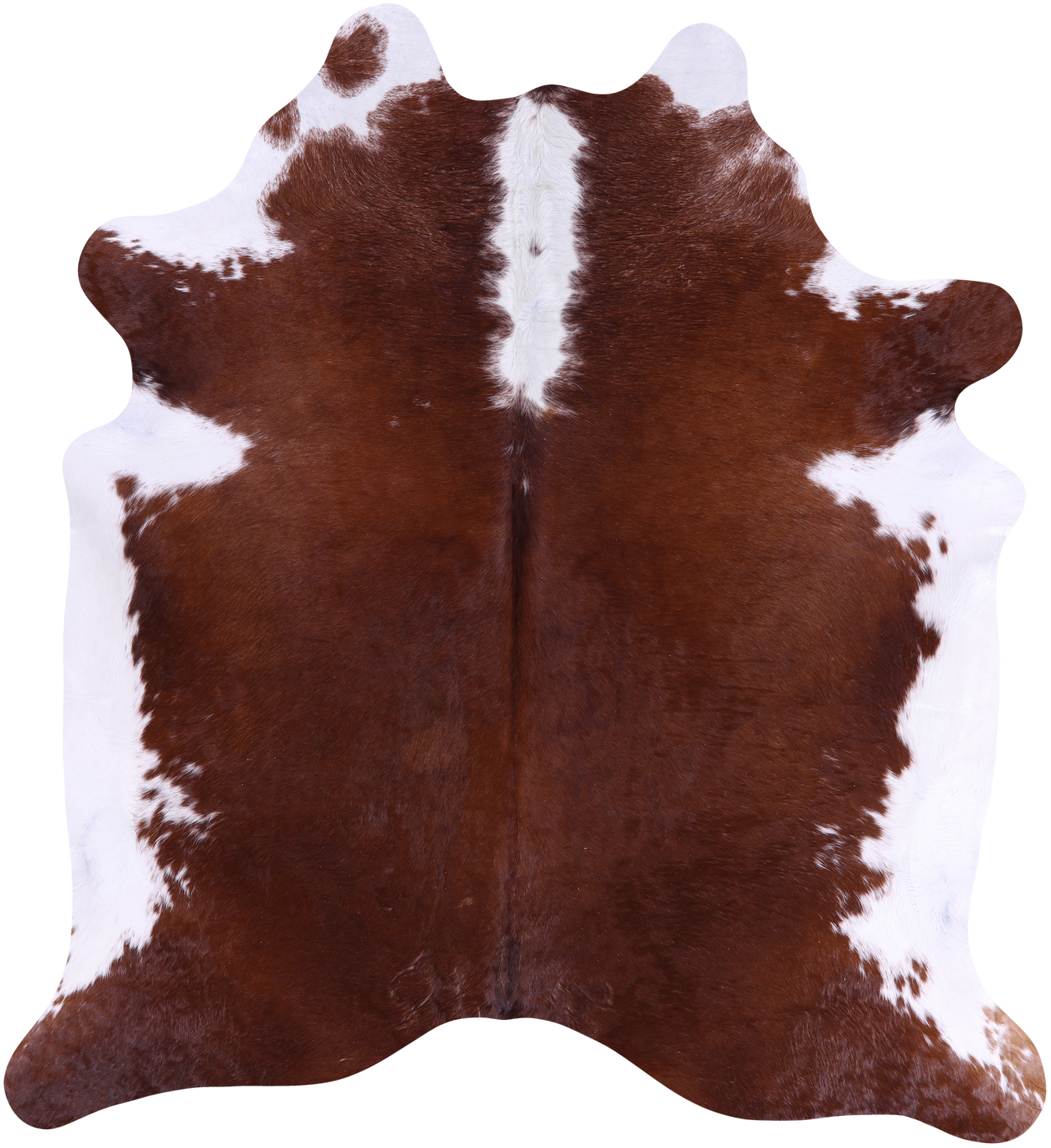 SUPER SALE Brown & White Natural Cowhide Rug - X-Large 7' 1"H x 6' 4"W