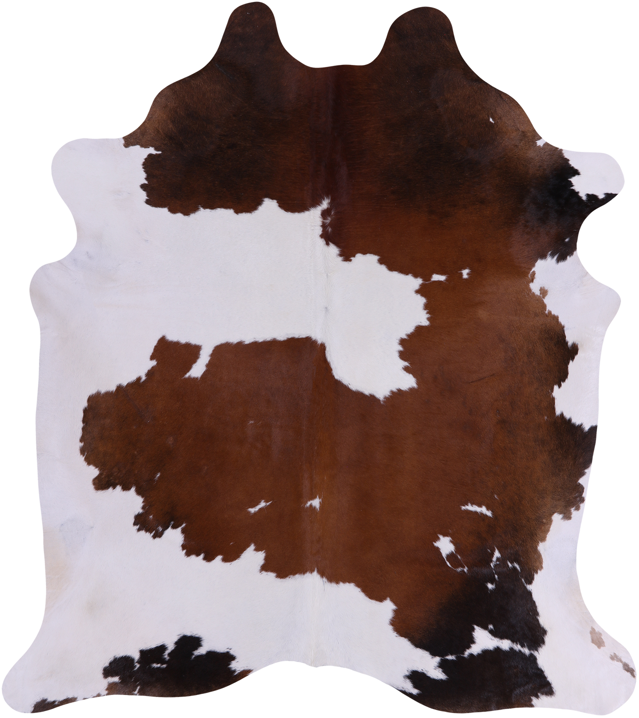 SUPER SALE Brown & White Natural Cowhide Rug - X-Large 7' 3"H x 6' 3"W