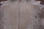 SUPER SALE Beige Natural Cowhide Rug - X-Large 6' 10"H x 6' 2"W