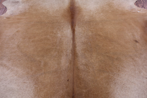 SUPER SALE Light Brown Natural Cowhide Rug - XX-Large 7' 7