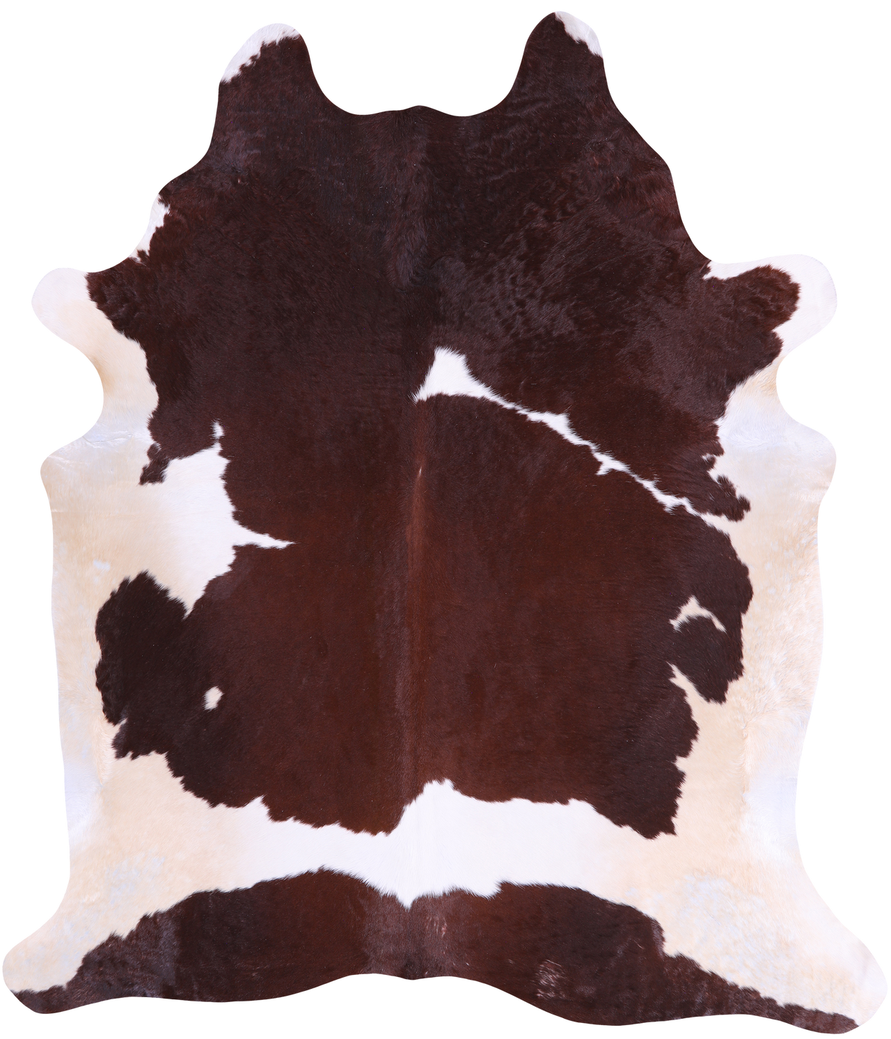 SUPER SALE Brown & White Natural Cowhide Rug - XX-Large 7' 10"H x 7' 0"W