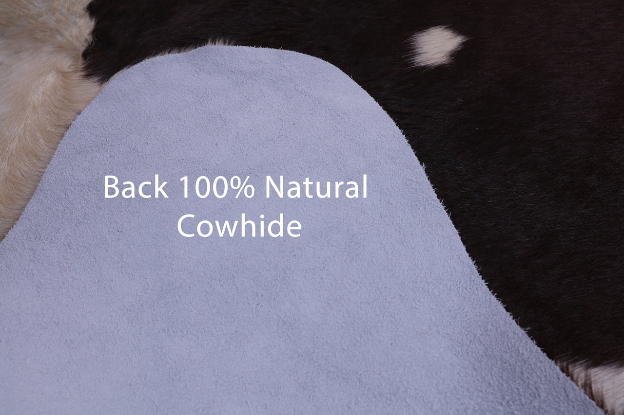 SUPER SALE Brown & White Natural Cowhide Rug - XX-Large 7' 10"H x 7' 0"W