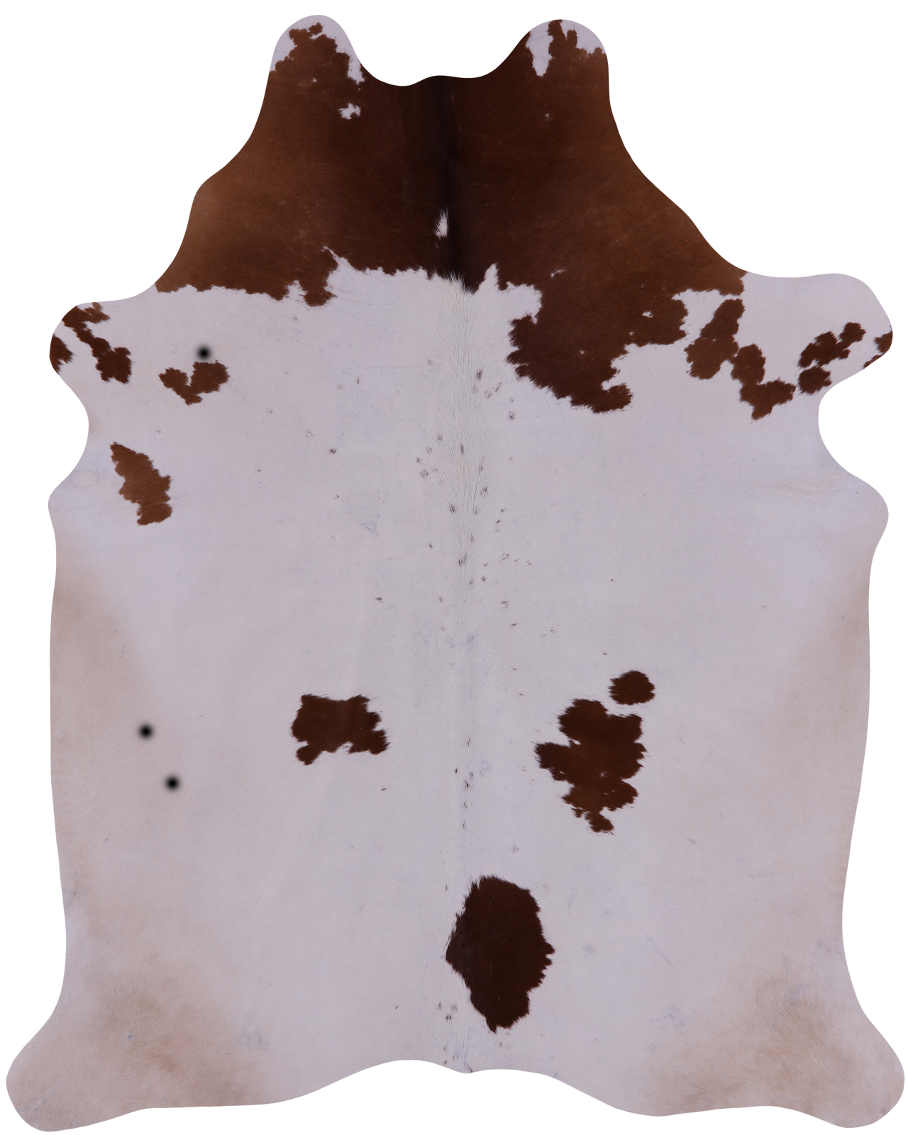 SUPER SALE Brown & White Natural Cowhide Rug - XX-Large 7' 4"H x 6' 0"W