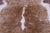 SUPER SALE Brown & White Natural Cowhide Rug - X-Large 7' 0"H x 6' 7"W