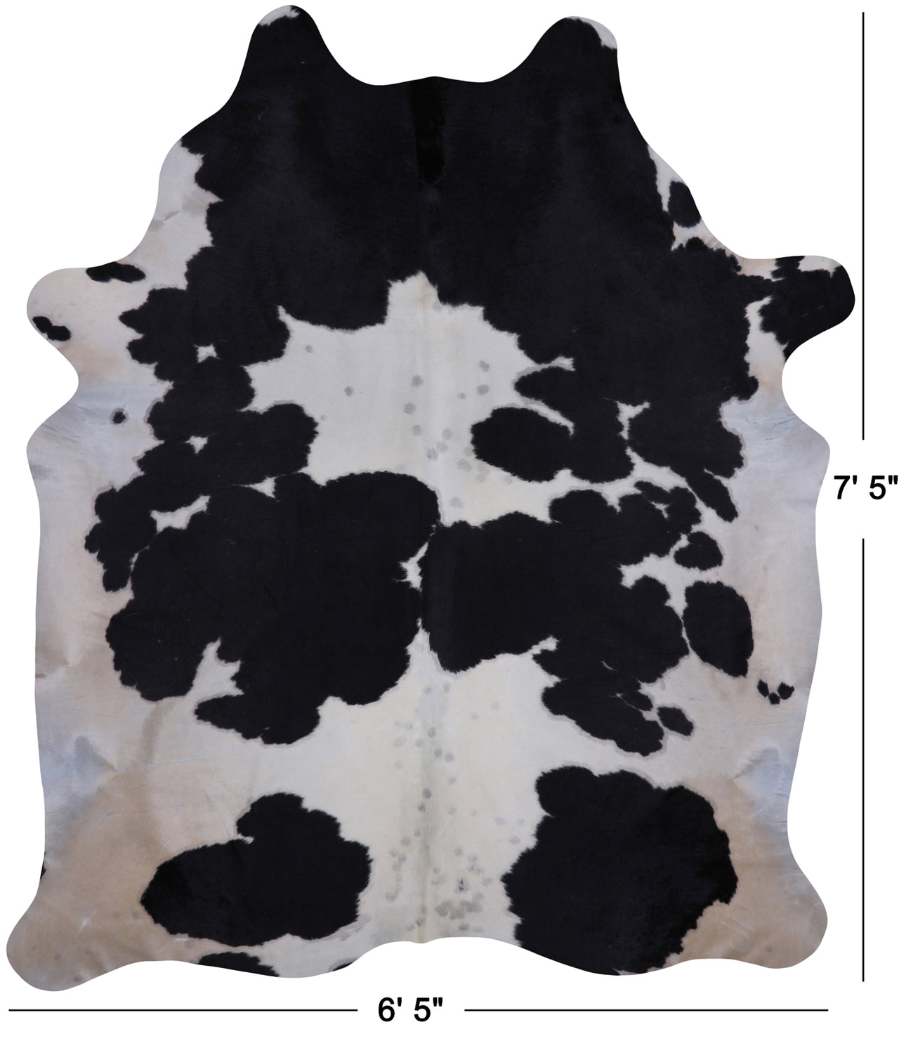 SUPER SALE Black & White Natural Cowhide Rug - XX-Large 7' 5"H x 6' 5"W