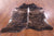 SUPER SALE Light Brindle Natural Cowhide Rug - X-Large 7' 3"H x 6' 1"W