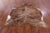 SUPER SALE Light Brindle Natural Cowhide Rug - XX-Large 7' 7"H x 6' 6"W