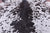 SUPER SALE Brown Salt & Pepper Natural Cowhide Rug - XX-Large 7' 7"H x 6' 10"W