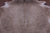 SUPER SALE Beige Natural Cowhide Rug - XX-Large 7' 10"H x 7' 0"W