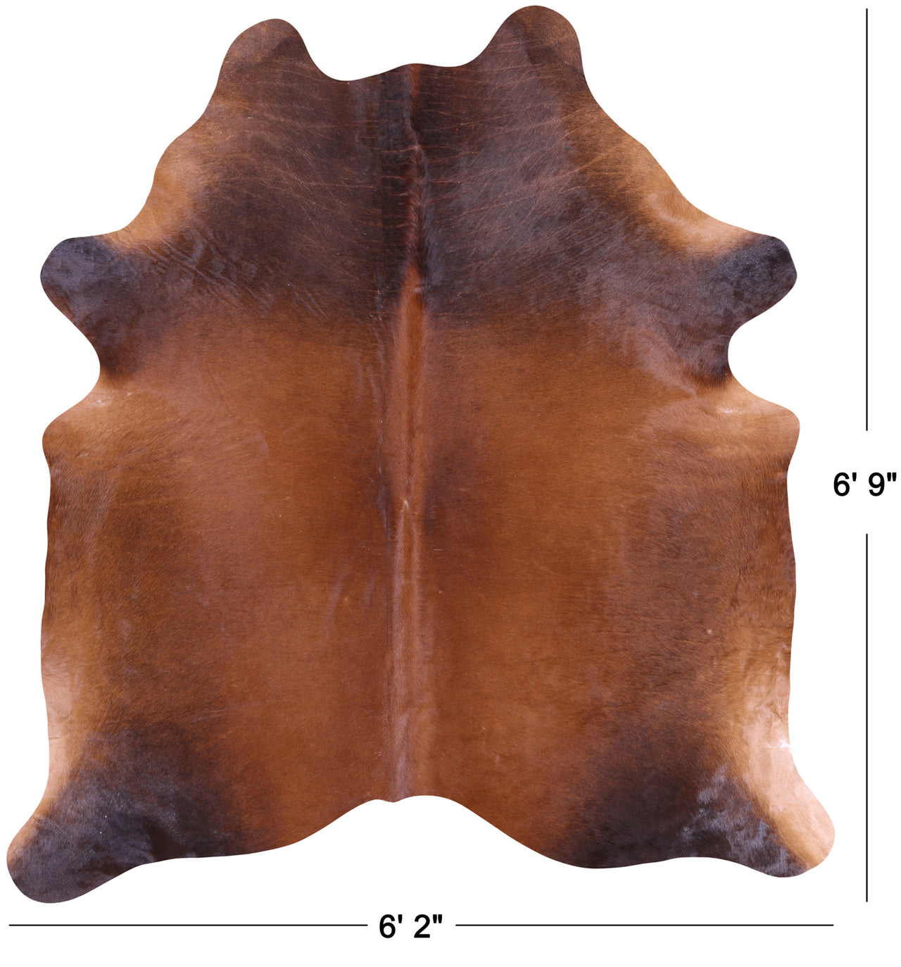 SUPER SALE Brown Natural Cowhide Rug - X-Large 6' 9"H x 6' 2"W