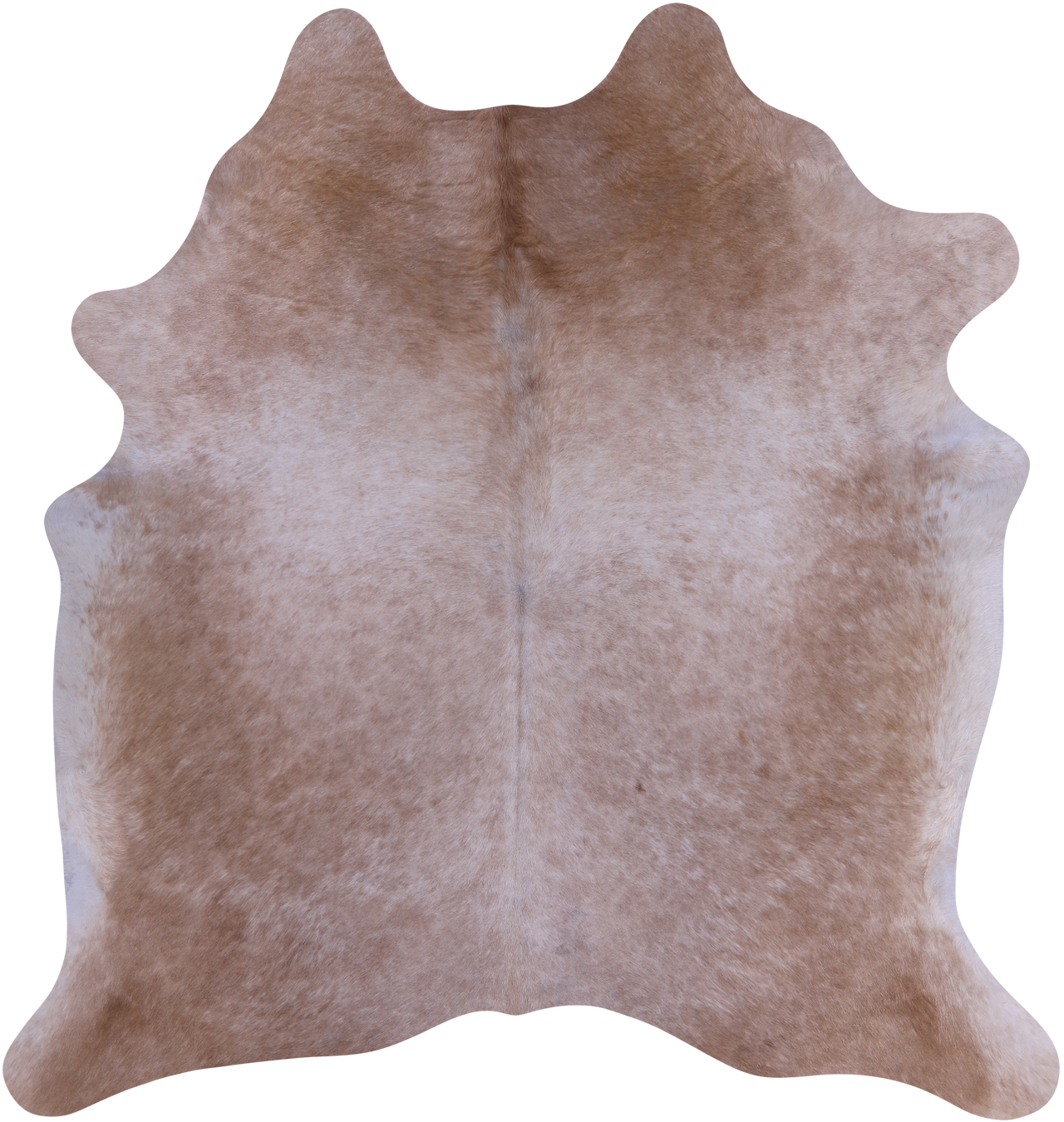 SUPER SALE Beige Natural Cowhide Rug - X-Large 7' 1"H x 6' 5"W