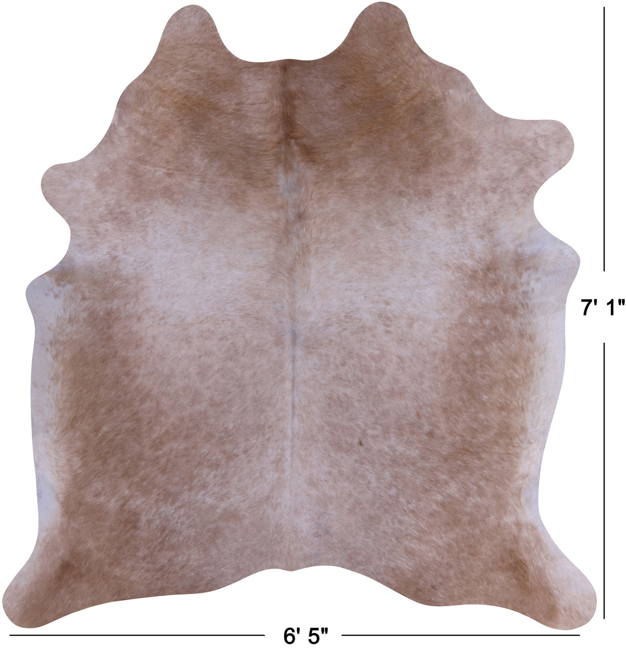 SUPER SALE Beige Natural Cowhide Rug - X-Large 7' 1"H x 6' 5"W