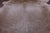 SUPER SALE Beige Natural Cowhide Rug - X-Large 7' 1"H x 6' 5"W
