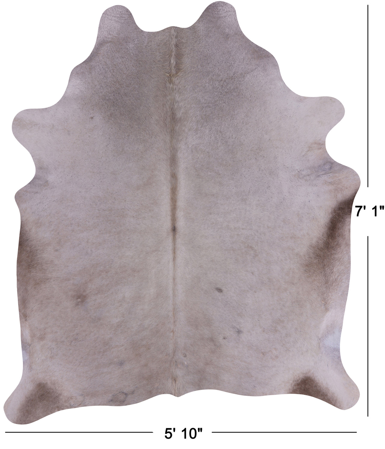 SUPER SALE Beige Natural Cowhide Rug - X-Large 7' 1"H x 5' 10"W