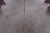 SUPER SALE Beige Natural Cowhide Rug - X-Large 7' 1"H x 5' 10"W