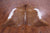 SUPER SALE Brown Natural Cowhide Rug - XX-Large 8' 4"H x 7' 0"W