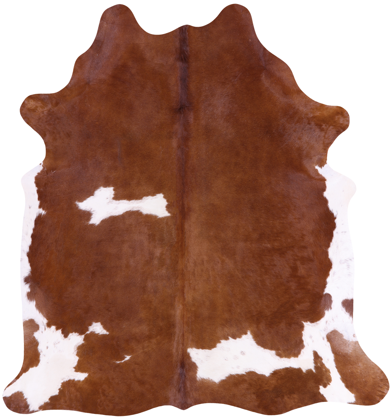 SUPER SALE Brown & White Natural Cowhide Rug - X-Large 6' 9"H x 6' 3"W