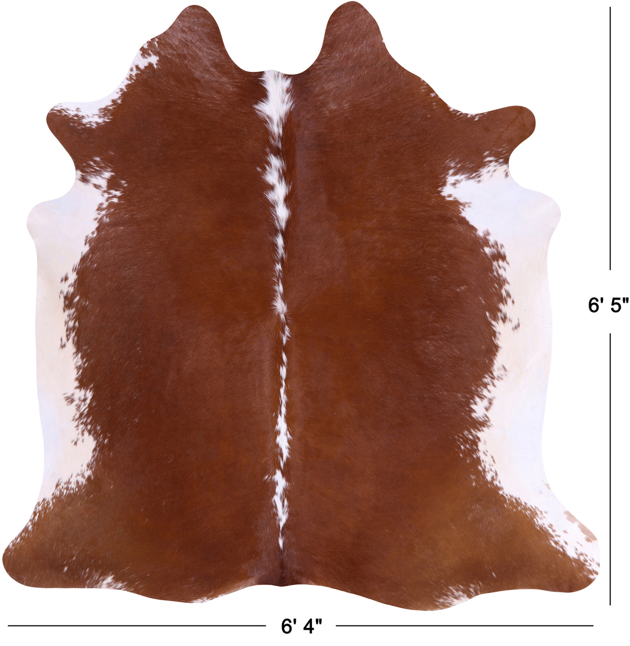 SUPER SALE Brown & White Natural Cowhide Rug - Large 6' 5"H x 6' 4"W