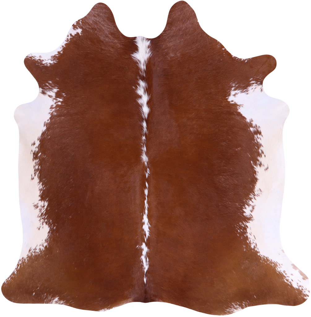 SUPER SALE Brown & White Natural Cowhide Rug - Large 6' 5"H x 6' 4"W