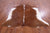 SUPER SALE Brown & White Natural Cowhide Rug - Large 6' 5"H x 6' 4"W
