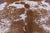 SUPER SALE Brown Salt & Pepper Natural Cowhide Rug - XX-Large 7' 4"H x 6' 3"W