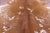 SUPER SALE Brown Salt & Pepper Natural Cowhide Rug - X-Large 7' 0"H x 6' 3"W