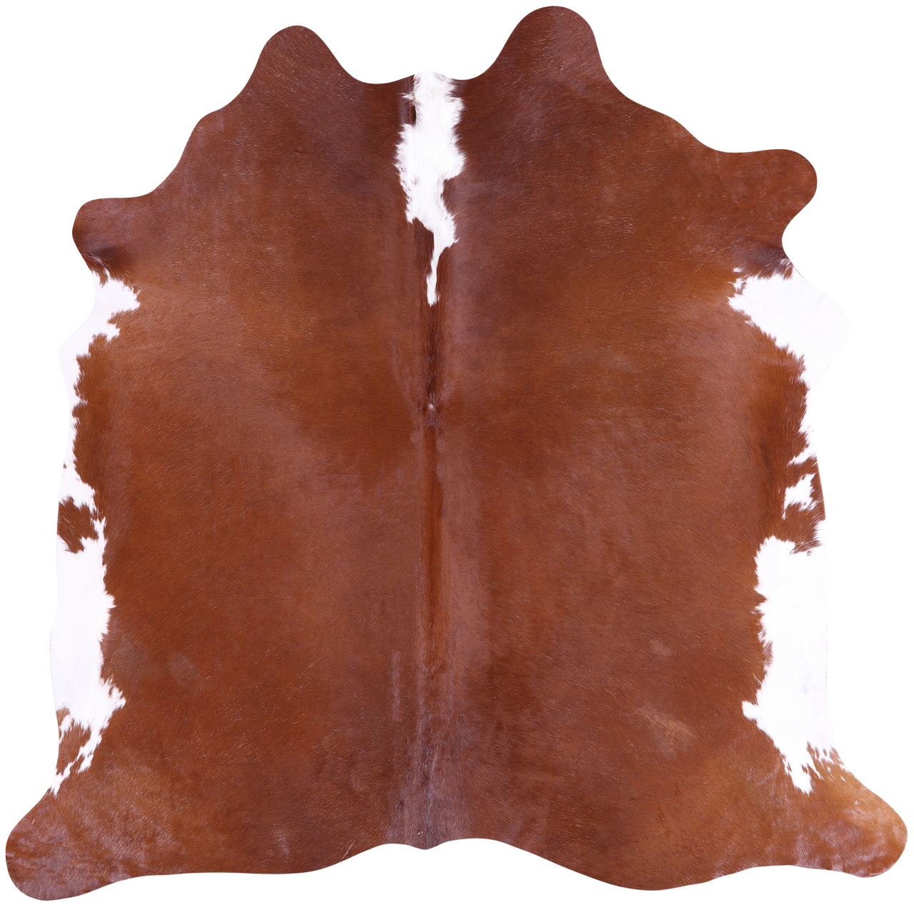 SUPER SALE Brown & White Natural Cowhide Rug - Large 6' 6"H x 6' 5"W