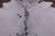 SUPER SALE Brown Salt & Pepper Natural Cowhide Rug - XX-Large 7' 10"H x 7' 0"W