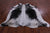 SUPER SALE Black Salt & Pepper Natural Cowhide Rug - XX-Large 7' 8"H x 7' 2"W