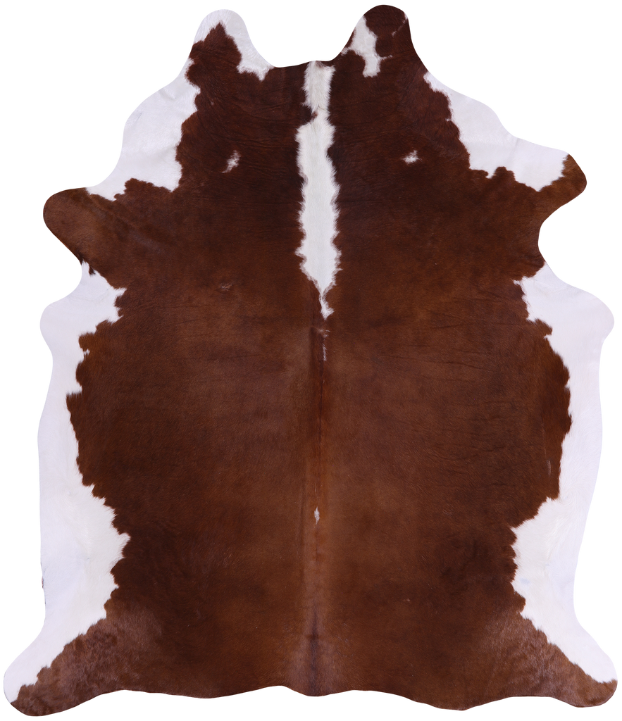 SUPER SALE Brown & White Natural Cowhide Rug - XX-Large 7' 7"H x 6' 5"W