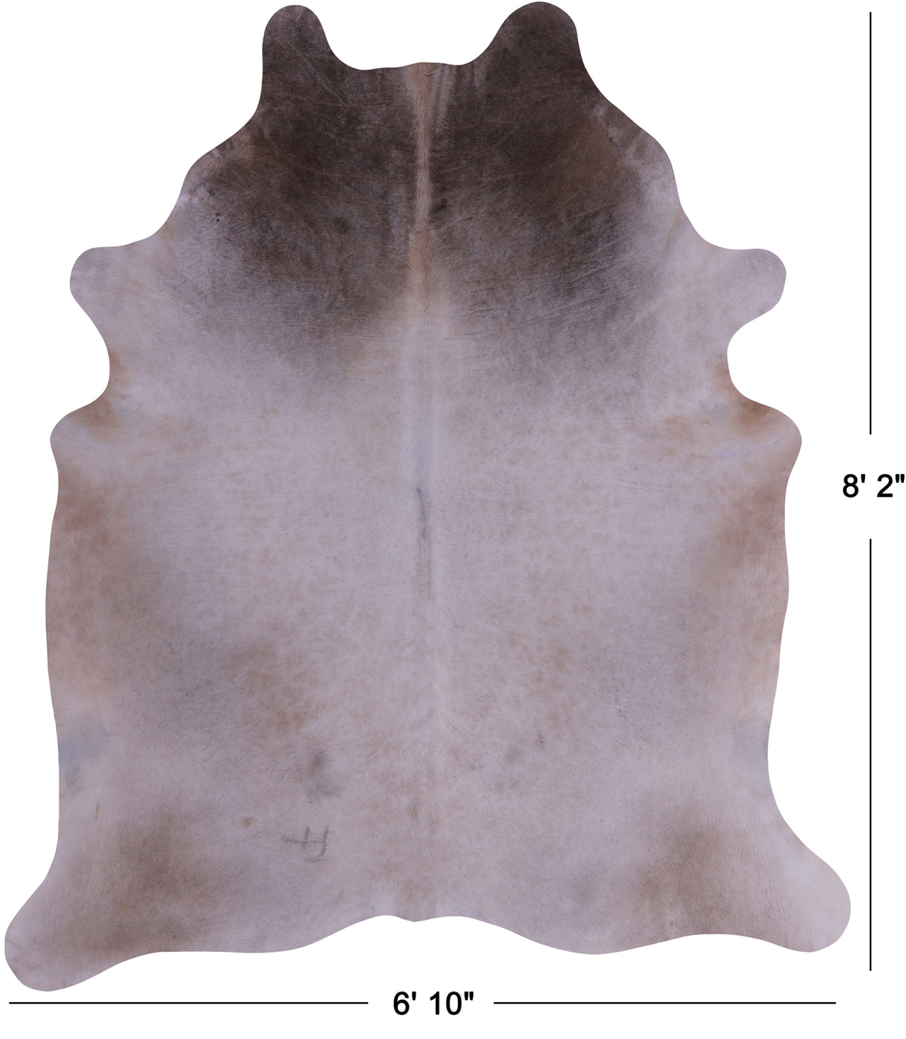 SUPER SALE Beige Natural Cowhide Rug - XX-Large 8' 2"H x 6' 10"W
