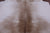 SUPER SALE Beige Natural Cowhide Rug - XX-Large 7' 9"H x 6' 9"W