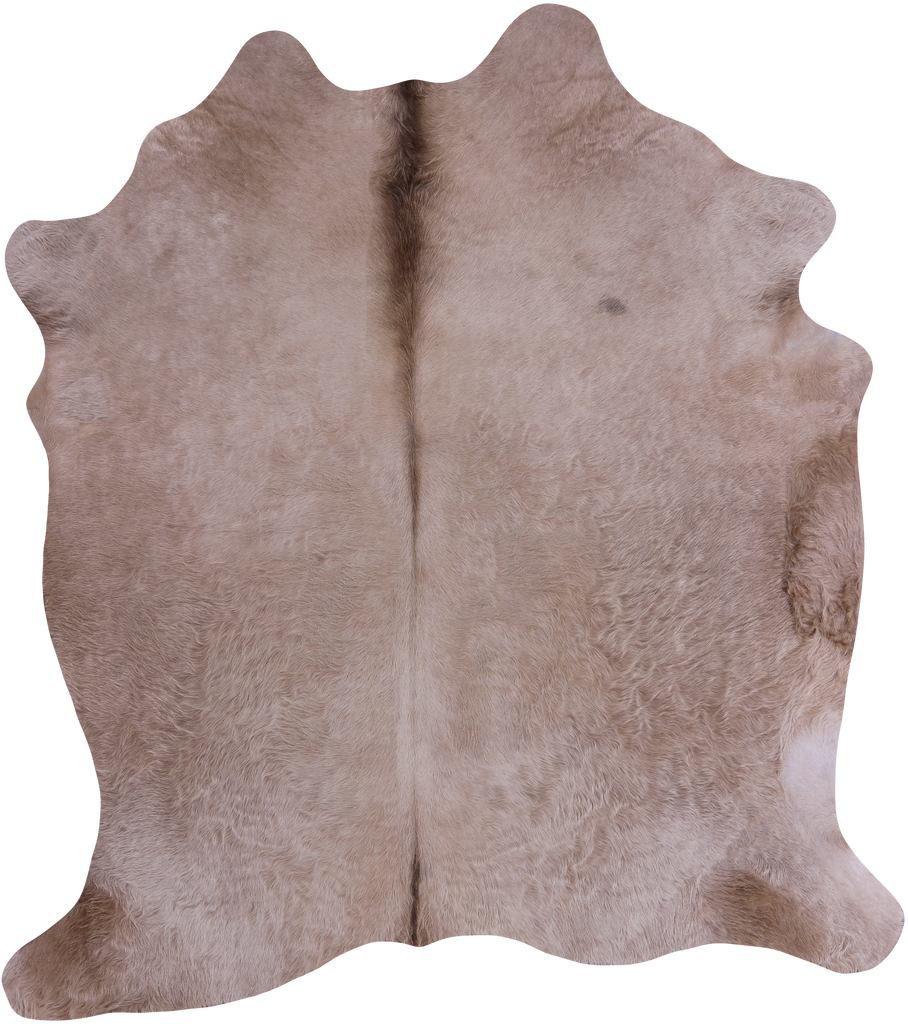 SUPER SALE Champagne Natural Cowhide Rug - X-Large 6' 10"H x 6' 0"W