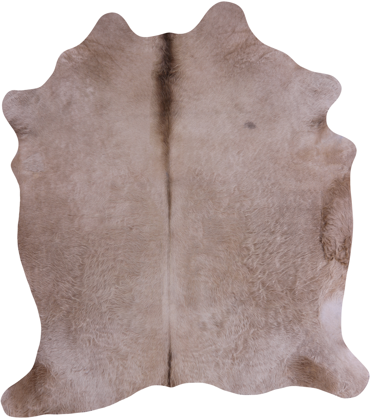SUPER SALE Champagne Natural Cowhide Rug - X-Large 6' 10"H x 6' 0"W