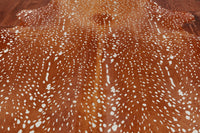 Thumbnail for Gazelle Deer Animal Print Natural Cowhide Rug - X-Large 6' 10