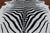 Black Zebra Animal Print Natural Cowhide Rug - XX-Large 7' 6"H x 6' 3"W