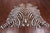 Brown Zebra Animal Print Natural Cowhide Rug - Large 6' 7"H x 6' 0"W