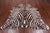 Brown Zebra Animal Print Natural Cowhide Rug - X-Large 6' 10"H x 6' 3"W