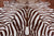 Brown Zebra Animal Print Natural Cowhide Rug - X-Large 6' 10"H x 6' 3"W