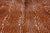 Gazelle Deer Animal Print Natural Cowhide Rug - X-Large 7' 0"H x 5' 8"W