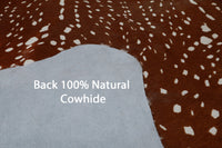 Thumbnail for Gazelle Deer Animal Print Natural Cowhide Rug - X-Large 7' 0