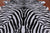 Black Zebra Animal Print Natural Cowhide Rug - X-Large 7' 1"H x 6' 5"W