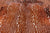 Gazelle Deer Animal Print Natural Cowhide Rug - X-Large 6' 10"H x 5' 9"W