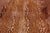 Gazelle Deer Animal Print Natural Cowhide Rug - X-Large 7' 3"H x 5' 9"W