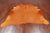 Orange Dyed Cowhide Natural Cowhide Rug - X-Large 6' 11"H x 6' 7"W