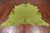 Green Dyed Cowhide Natural Cowhide Rug - XX-Large 7' 7"H x 6' 10"W