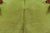 Green Dyed Cowhide Natural Cowhide Rug - XX-Large 7' 7"H x 6' 10"W