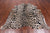 Leopard Animal Print Natural Cowhide Rug - XX-Large 7' 7"H x 6' 2"W