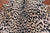 Leopard Animal Print Natural Cowhide Rug - XX-Large 7' 7"H x 6' 2"W