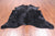 Black Dyed Cowhide Natural Cowhide Rug - X-Large 7' 3"H x 7' 2"W